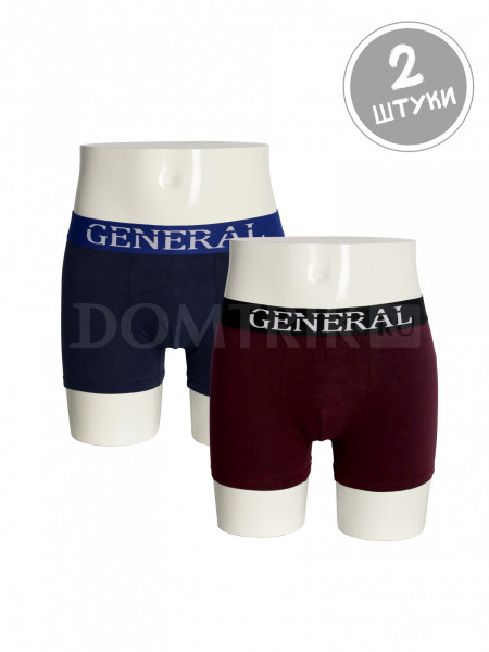 Мужские трусы GENERAL 5538 упаковка 2 шт
